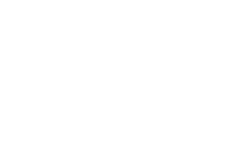 green fly white logo